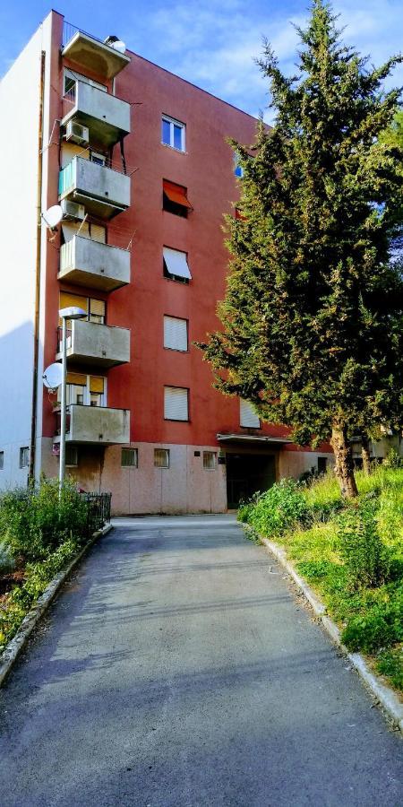 Pula Center Green Park Apartments And Rooms Kültér fotó