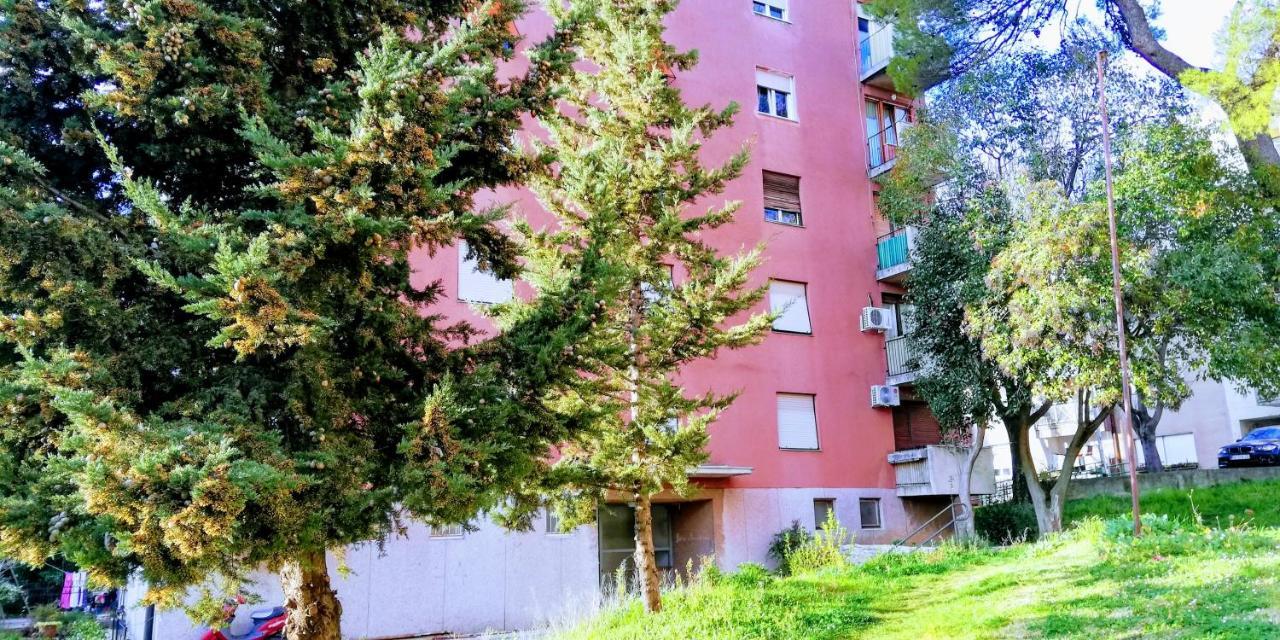 Pula Center Green Park Apartments And Rooms Kültér fotó